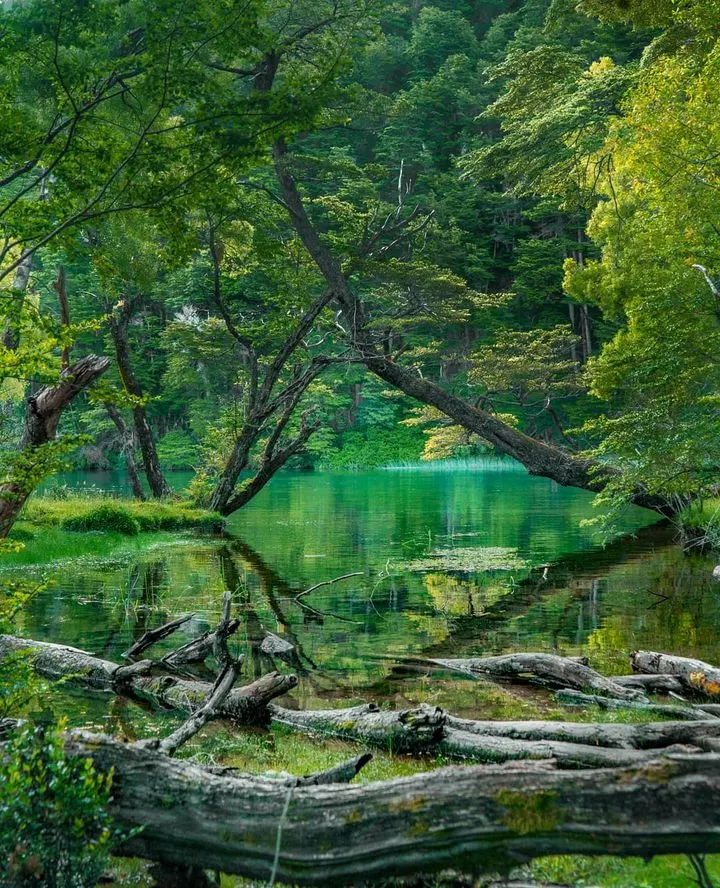 Río Arrayanes